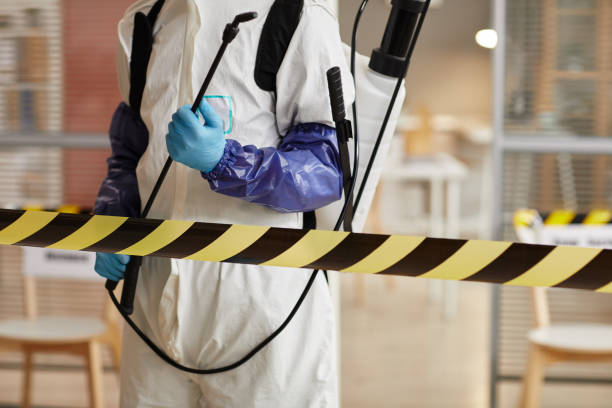 Professional Sewage Cleanup technician working in Nickerson, NE
